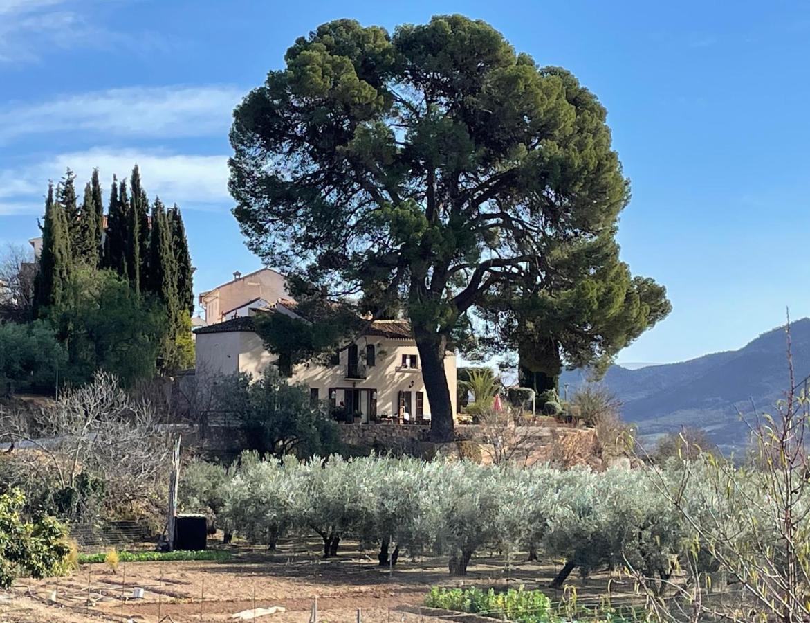 Cortijo El Pino Retreat Bed and Breakfast Albuñuelas Eksteriør billede